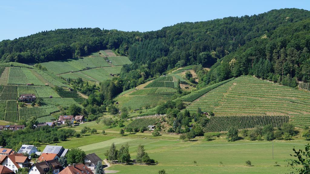 Hotel Schwarzenbergs Traube Glottertal Exteriér fotografie